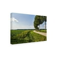 thumbnail image 2 of Trademark Fine Art 'The Road Ahead' Canvas Art by Chuck Burdic, 2 of 3