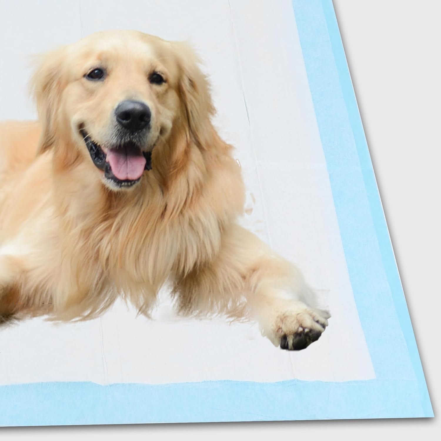 22x22 Dog Training Pads Dog and Puppy Pee Pads for Dog Playpen with Leak-Proof Dog Pee Pads Glad for Pets Training Dogs Potty Training Pads 22x22