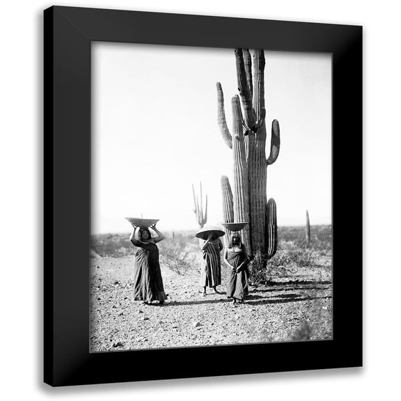 Curtis, Edward 12x14 Black Modern Framed Museum Art Print Titled - Saguaro gatherers, Maricopa, Arizona, ca. 1907