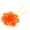 Orange, variant on VerPetridure Best Peony Flower Curtain Clip-on Tie Backs Holdback Tieback Holder Panel