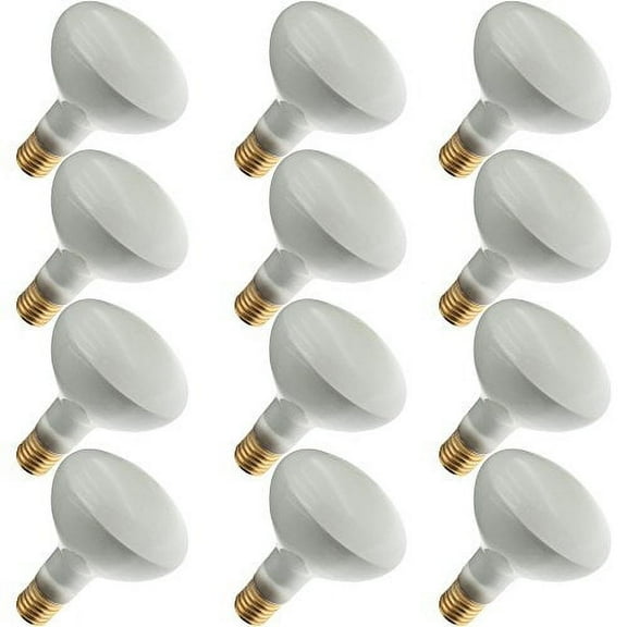 Industrial Performance 300R40/3FL 250V, 300 Watt, R40, Mogul Screw (E39) Base Light Bulb (12 Bulbs)