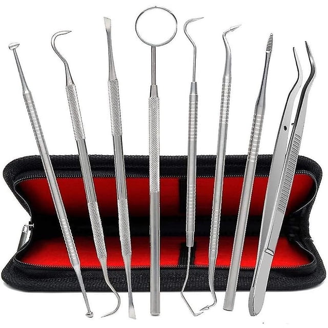 Juego de 8 piezas para el cuidado dental, instrumentos de dentista de acero inoxidable, herramientas dentales
