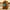 Brown, variant on Cute Capibra Stuffed Animal Cute Plush Doll Toy Gift Cartoon Children's Rag Doll Doll Soft Toys for Kids
