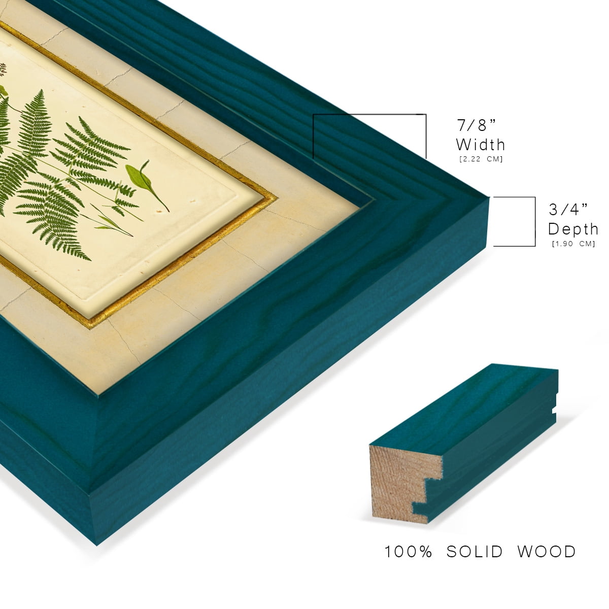 Fern with Crackle Mat (H) IV - Framed Print w/glass - Ocean Blue