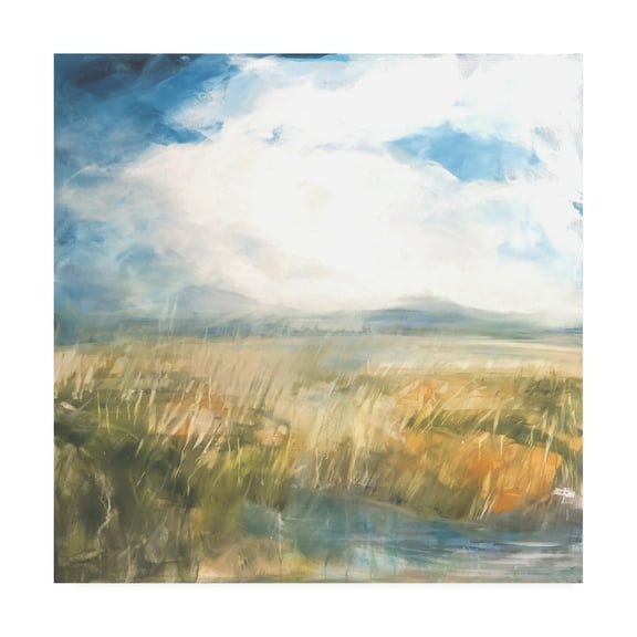 Trademark Fine Art 'Summer Marsh' Canvas Art by Mila Apperl