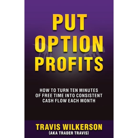 Put Option Profits: How to Turn Ten Minutes of Free Time Into Consistent Cash Flow Each Month, (Paperback)
