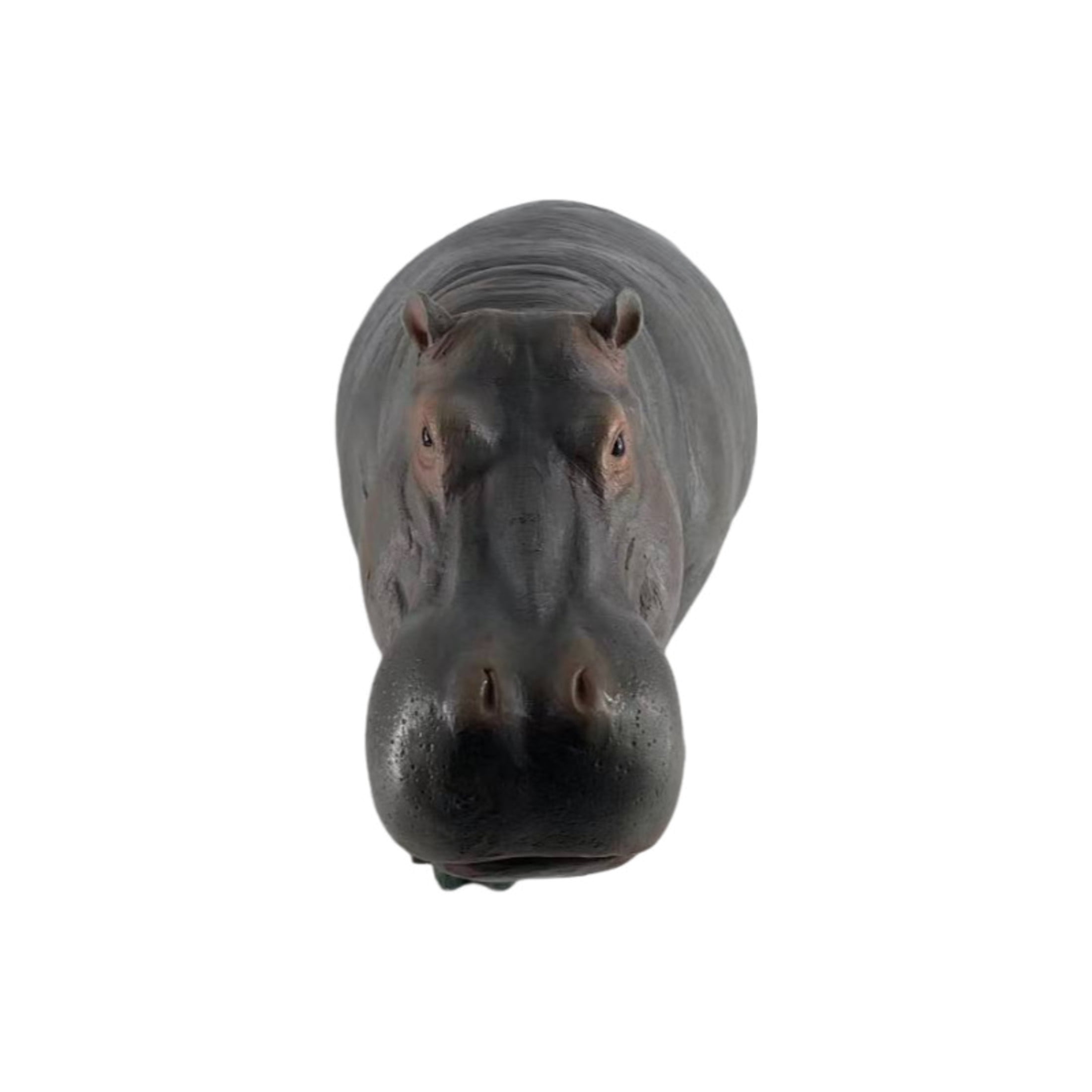 GDF Studio Hippopotamus Resin Indoor/Outdoor Guardian Statue, Weather-Resistant Decor Figurine for Garden & Courtyard