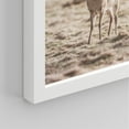 thumbnail image 5 of PixonSign Framed Wall Art Country Field Sheep & Deer Prints, Set of 4 Southwest Animals Photography Wall Decors, Nature Wall Décor, Adhesive Canvas Poster, Modern Home Artwork - 8"x10" White, 5 of 5