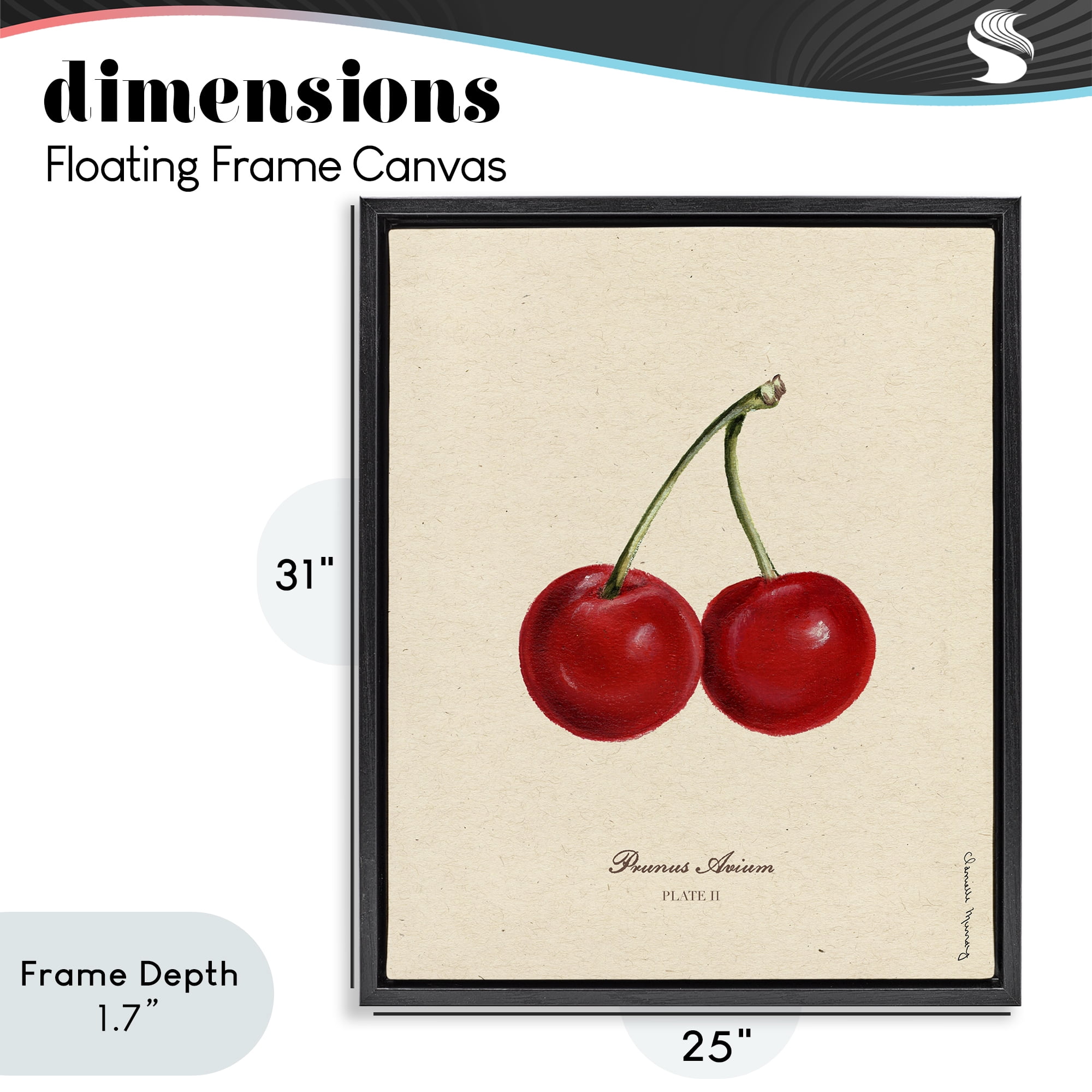 Stupell Industries Cherry Fruit Portrait Black Framed Floater Canvas Wall Art, design by Danielle Murray