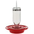 thumbnail image 4 of 8 oz. Feeder (Bulk), 4 of 6