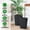 black, variant on Set of 2 Large Rattan Planters with Trays & Wheels – 16" Tall White Flower Pots with Water Level Monitor – Modern All-Weather Indoor/Outdoor Plant Containers for Patio, Porch, Living Room, Office