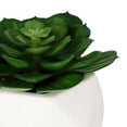 thumbnail image 4 of planta dec. blanca suculenta c, 4 of 5