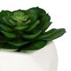 thumbnail image 4 of planta dec. blanca suculenta c, 4 of 5
