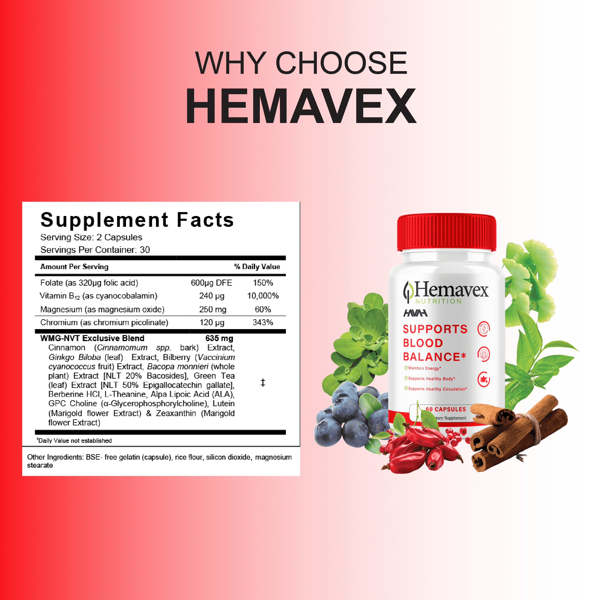 (5 Pack) Hemavex Gluco Capsules, Hema Vex Blood Support Supplement (300 Capsules)
