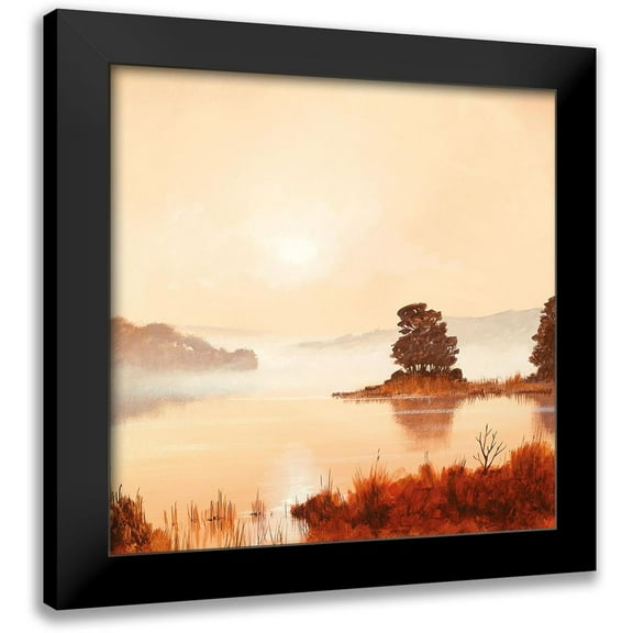 Lee, Spencer 12x12 Black Modern Framed Museum Art Print Titled - MISTY MORNING I