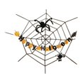thumbnail image 2 of Decoración de telaraña de Halloween, telón de fondo, adorno colgante creativo versátil, decoración de Halloween para fiesta, hogar, cumpleaños, patio Estilo A, 2 of 8