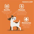 Ear Wash for Dogs by Project Watson, Hydrogen Peroxide & Fragrance Free