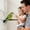 A, variant on Lijn Window for Birds Wooden Stand Mount Window Suction Cup Bird for Balcony Apartment Patio Porch Shower Wall