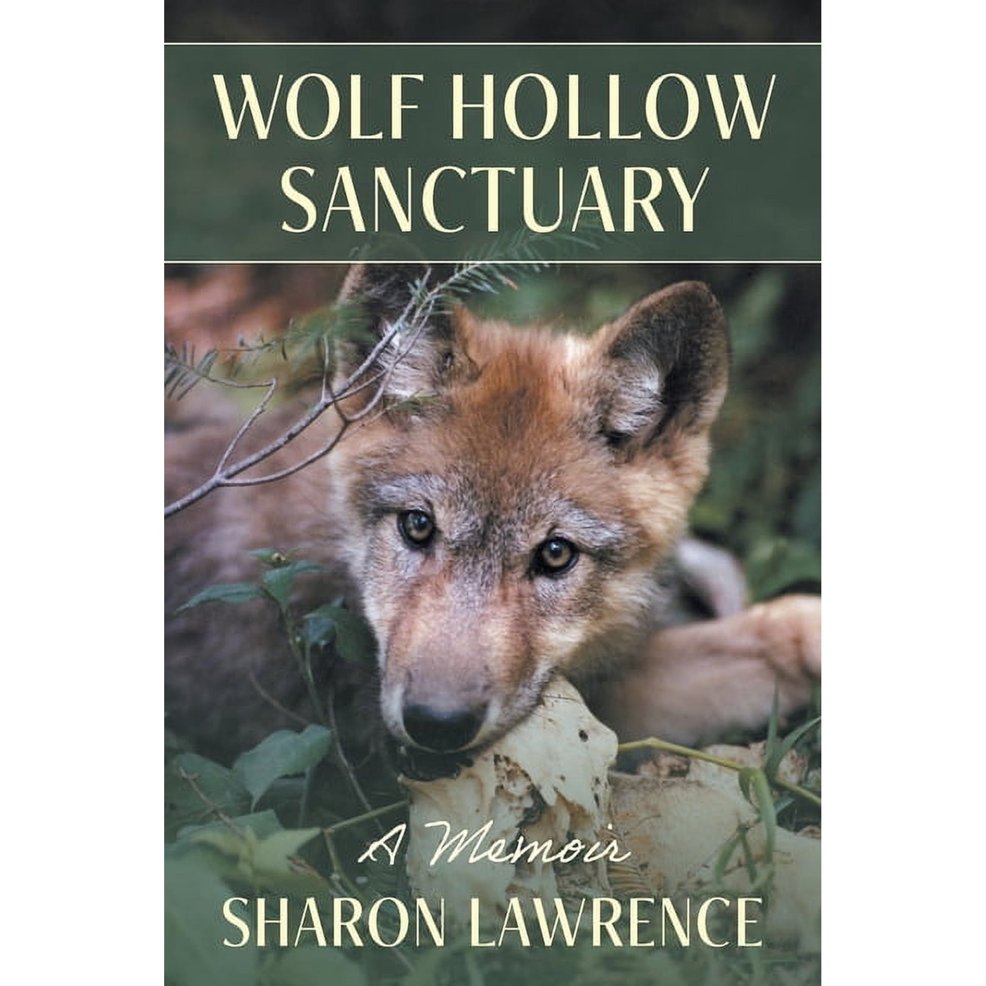 Wolf Hollow Sanctuary: A Memoir (Paperback)