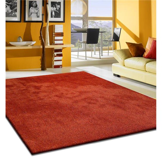 Amazing Rugs NL1006-811 8 x 11 ft. Fancy Shaggy Hand Tufted Area Rug in Red