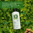 thumbnail image 4 of Acondicionador Herbal Essences Detox Té Verde & Menta 400 ml, 4 of 5