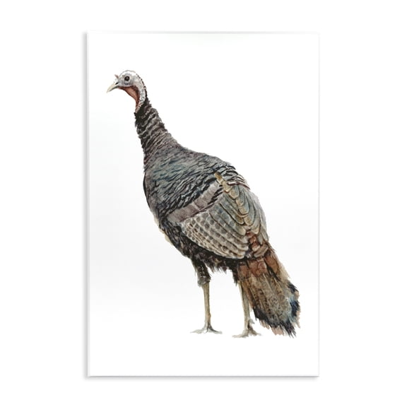 Stupell Industries Cottage Wild Turkey Bird Watercolor Kids' Nursery Animal Wall Plaque Art, 13 x 19, by Fox Hollow Studios