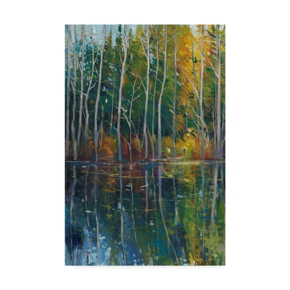 Trademark Fine Art 'Pine Reflection II' Canvas Art by Tim OToole