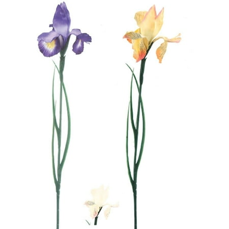 Iris Bouquet - Long Stem Iris and Grass Bouquet by FLOMO