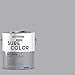 thumbnail image 5 of Rust-Oleum 380224 Storm Gray Sure Color Interior Paint + Primer, Eggshell, 1 Gal, 5 of 5