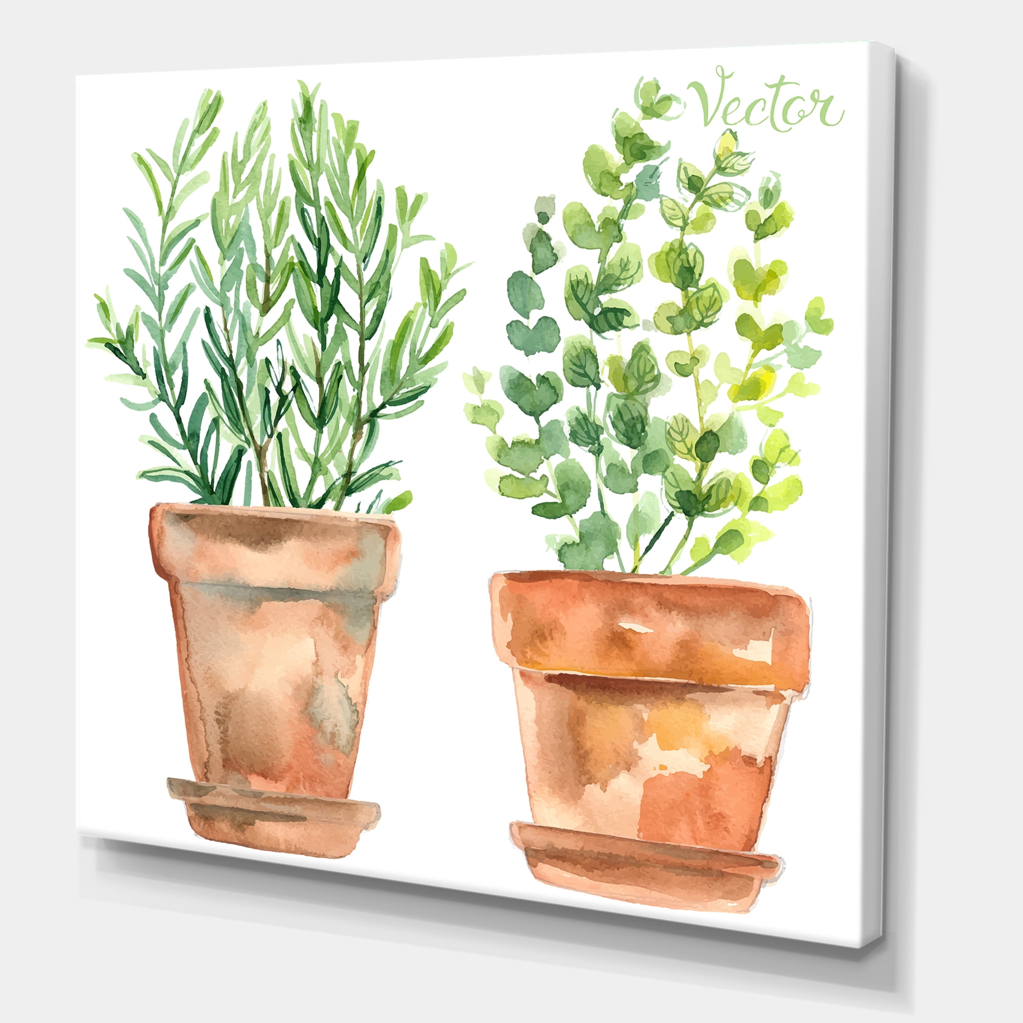 Designart ' Two Green House Plants In Orange Cly Pots ' Traditional Canvas Wall Art Print