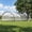 Black frame white net, variant on Shininglove Portable Baseball & Softball Batting Cage Net - Heavy-Duty Pop-Up Hitting & Pitching Practice, Pitching Machine Hole, Detachable Door, Indoor/Outdoor Training - 30x12x8 ft, Black