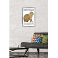 thumbnail image 2 of Capybara - Be Cappy Wall Poster, 14.725" x 22.375" Framed, 2 of 5