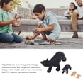 thumbnail image 3 of Figuras De Ciclo De Vida De Oso Negro, Juguete Modelo De Ciclo De Crecimiento De Oso, Diversión Realista, Educativo Para Decoración, 3 of 7