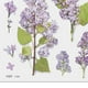 thumbnail image 3 of Etiqueta engomada decorativa del ANIMAL DOMÉSTICO pegatinas creativas del diario de DIY para la caja del teléfono móvil del diario Tmvgtek Libre de BPA, 3 of 4