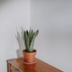 thumbnail image 4 of KAKOWELY 10Ud Para Macetas De Plantas Con Protección Derrames Y Daños En Superficies, 4 of 6