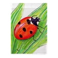 thumbnail image 1 of Betsy Drake FL457 Drapeau de Coccinelle - 12,5 x 18 Po., 1 of 1