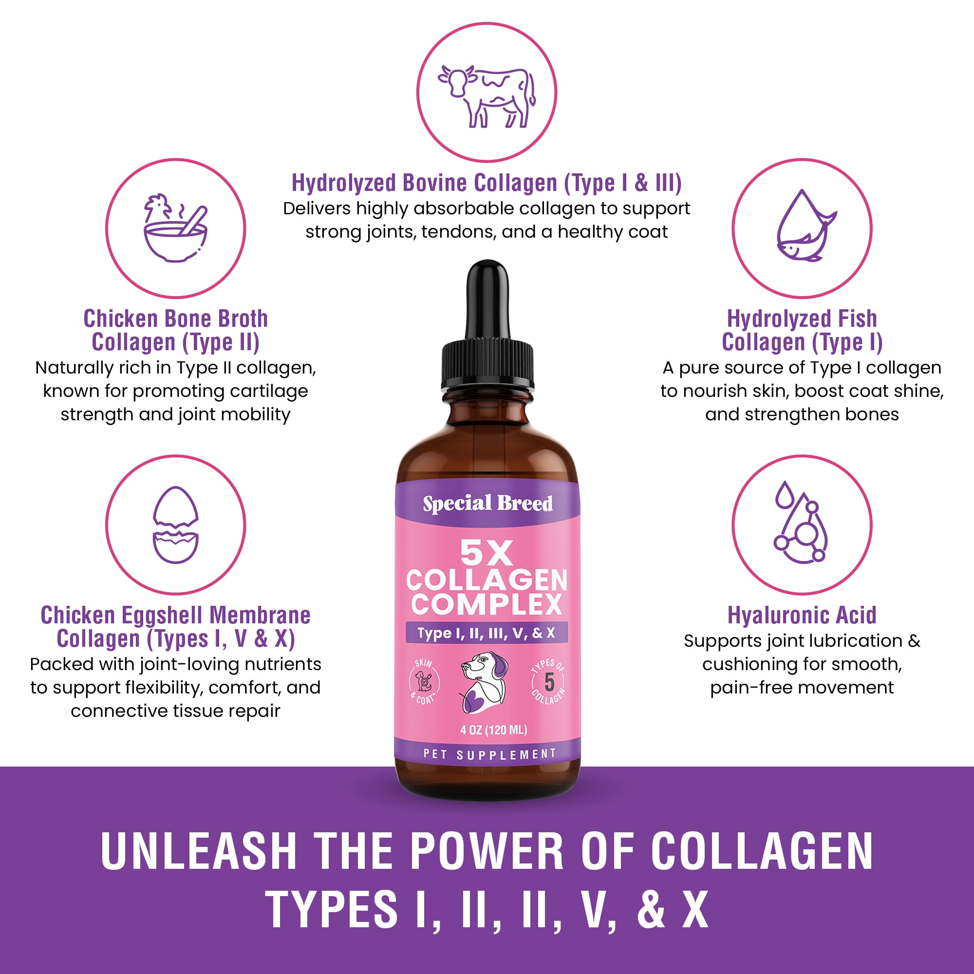 Premium Liquid Collagen For Dogs - 5x Collagen Types I, II, II, V & X - Support For Joints, Skin, Coat, Bone, Immune System & Hips - Collagen Supplement With Hyaluronic Acid - Made In USA - 4oz