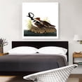 thumbnail image 2 of ARTCANVAS Hooded Merganser Canvas Art Print by John James Audubon - Size: 36" x 36" (0.75" Deep), 2 of 9
