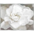 thumbnail image 1 of 23 x 29 in. White Rose Framed Canvas Art, 1 of 1