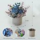 thumbnail image 2 of Kit de flores artificiales con maceta, combinación de rosas azules quemadas de seda falsa y vegetación, decoración en maceta de plantas pequeñas para oficinas, estanterías, dormitorios, salas de, 2 of 7