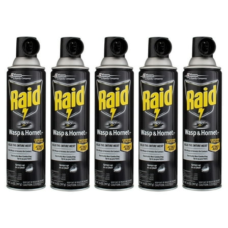 Raid Wasp & Hornet Killer Spray 14 oz Pack of 5
