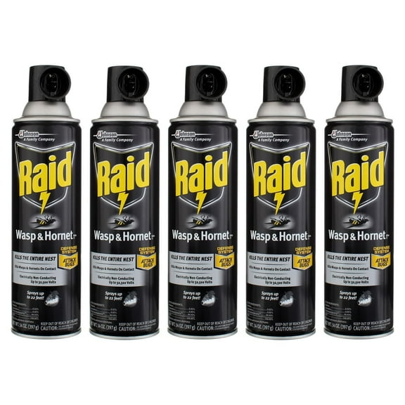 Raid Wasp & Hornet Killer Spray 14 oz Pack of 5