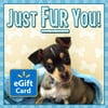 Just Fur You Dog Walmart eGift Card