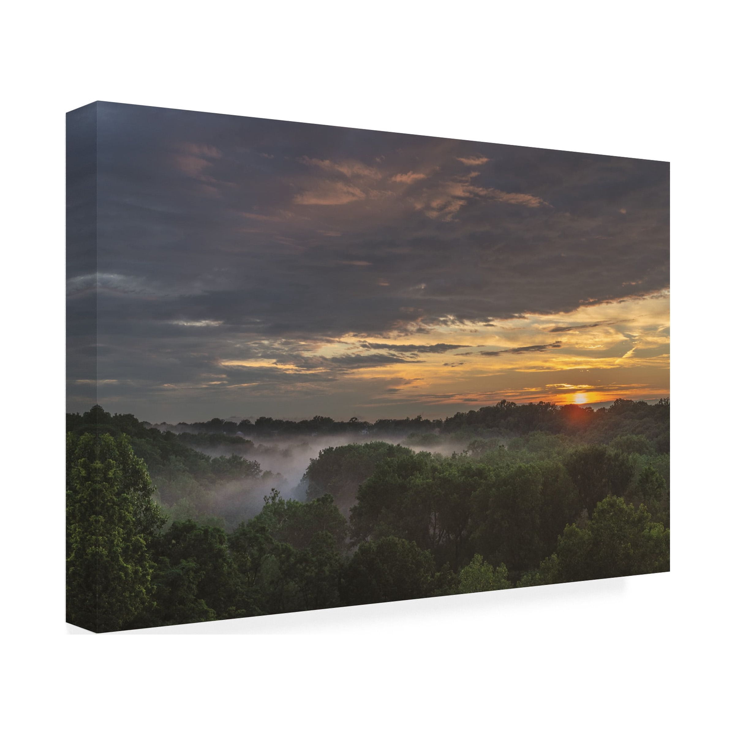 Kurt Shaffer Photographs 'Foggy Misty Sunset In Ohio' Canvas Art