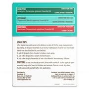 GuruNanda Breathe Essential Oil Blends for Sinus, Congestion & Aromatherapy - Set of 3