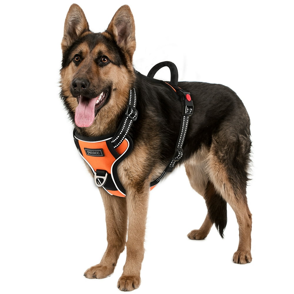 Petacc Dog Harness, NoPull Pet Harness with 2 Leash Clips, Adjustable