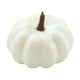 thumbnail image 5 of Pequeña calabaza artificial realista, de otoño, mini calabaza para el hogar, decoración de de otoño, decoración de fiesta de Halloween 65x9cm, 5 of 8