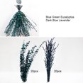 thumbnail image 2 of Paquete De Eucalipto Seco Paquete de eucalipto seco, planta de eucalipto fresca Natural decorativa para aliviar el estrés, 2 of 7