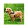 thumbnail image 6 of Non-Pull Dog Harness Adjustable Pet Puppy Walking Strap Vest Soft Chest Belt, 6 of 6