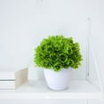 thumbnail image 5 of BKER Bonsai Desktop Decorative Arrangement With Low For Home (Green), 5 of 5